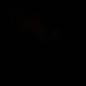 Meet your Posher, Brody